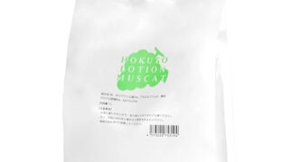 HOKUTO ローション オナニー 男性 1L パウチ ミディアム (マスカット) ろーしょん オナホ オナホロー…