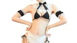 メイド服 コスプレ セクシー マイクロビキニ ランジェリー エプロン カチューシャ レディース 過激 誘惑 ベビー…
