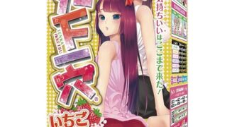 ホール – RIDE(ライド) 天下一穴 いちごミルクの舞(H0210) ホール – RIDE(ライド) 天下一穴 いちごミルクの舞(H0210)