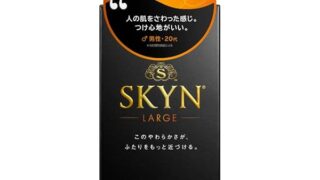 不二ラテックスSKYN コンドーム 10個入ラージサイズ 不二ラテックスSKYN コンドーム 10個入ラージサイズ