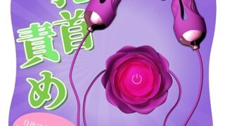 乳首 ローター SMグッズ 乳首攻め アダルトグッズ 乳首挟む【そっと挟むだけで、快感が一気に爆発する】 乳-首バ…