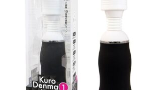 ローター – SSI JAPAN 回転/吸引 クロデンマ1