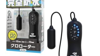 SSIジャパン(国内ブランド) 完全防水 クロローターType-R ミニ SSIジャパン(国内ブランド) 完全防水 クロローターType-R ミニ