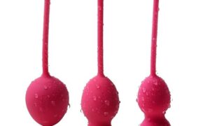 SVAKOM Nova膣トレボール 防水 究極の締まり 女性用 膣トレーニンググッズ ローター アダルトグッズ SVAKOM Nova膣トレボール 防水 究極の締まり 女性用 膣トレーニンググッズ ローター アダルトグッズ