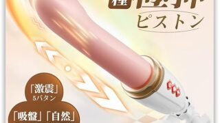 バイブ 女性用 中いき ディルド 女性用 人気ランキング おもちゃ 大人 女性 ピストンバイブ【 秒速収納一体型ピ…