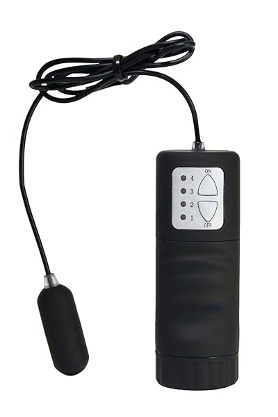 ローター – インスピレーション ブラック トイズハート 販売終了