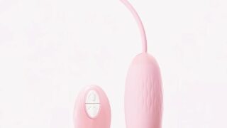 ローター 静か ワ遠隔ローター 10段階振動モード 防水設計 コンパクトサイズ ピンク 女性用 プレゼントに最適 …