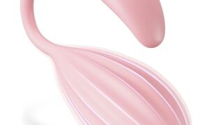 ローター 女性用 【遠隔アプリ操作+9種激震+装着可能】 静か 強力 人気 大人のおもちゃ女性用 遠隔ローター ク…