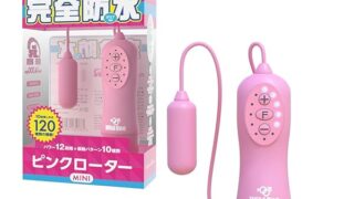 SSIジャパン(国内ブランド) 完全防水 ピンクローターType-R ミニ