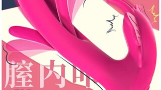 バイブ 女性用 中いき アダルトグッズ 【９種膣内連続叩く+９種段階振動X刺激＝快感どんどん溢れてくる】 電動ディ…