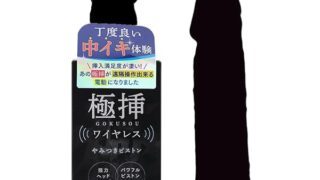 ローター – 極挿ワイヤレス ピストン&ヘッドバイブ【プライム】