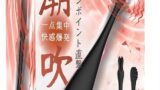 コスプレ – バイブ- ローター – 女性用 アダルトグッズ 乳首 バイブ【19500回/分快感激震】新技術【10種類の振動モー…