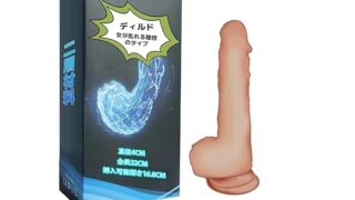 ディルド 強力吸盤付き初心者女性のための大人のおもちゃ 【全長22cm+深さ16.8cm+直径は4cm 】二層液状…