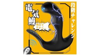 ディルド – 【ビリビリ電気鰻】アナルバイブ あなるバイブ 前立腺 男性用 【5電撃刺激＋10悶絶強震＋遠隔操作】あなる開発 デ…