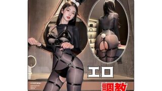 逆バニー バニーガール コスプレ コスプレ セクシー エッチ な ランジェリー 5点セット デビル 小悪魔 PU革…