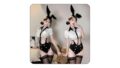 [5点セット] セクシー バニーガール コスチューム 逆バニー コスプレ 可愛い エッチ 背中あき 過激デザイン …