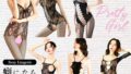 6点セット コスプレ セクシー セクシー 過激 ランジェリー ボディストッキング 穴あき 網タイツ全身タイツ ラン…
