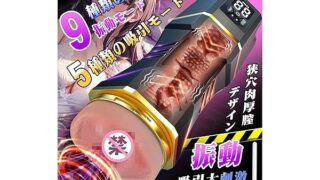 ホール – 電動オナホ オナホ 【9種類の振動モード+5種類の吸引モード+LCDディスプレイ搭載+狭穴肉厚膣デザイン】 乾燥ス…