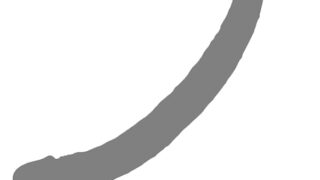 張匠(国内ブランド) みちのく双龍 ロング編 双頭 ダブル レズプレイ 日本メーカー製造 元祖ディルド AV現場でも使用