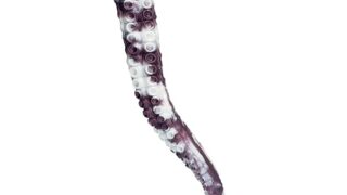 Dekori 超長いアナルプラグ異形ディルド 極太サイズ あなる 男性 女性用 太い アナルディルド 触手ディルド…