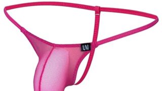 ランジェリー – [Heureux La Joie] 自身の形状がスケ見えのエロティック下着 Tバック メンズ マイクロ メッシュ …