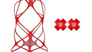 ランジェリー – [LIKENNY] 網目 セクシー 露出 コスプレ キュート 萌え ボディストッキング 穴あき 诱惑 ボディコン …