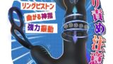 【男の性感帯すべてを制霸！】Laphwing アナルバイブ あなるバイブ 前立腺 男性用 ディルド 男性 前立腺開…