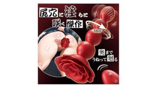 Leyuto アナルバイブ アナルビーズ アナルディルド 男女兼用「螺旋回転アナルの潮吹き」あなる開発 女性用 あ…