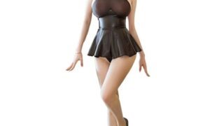 [MNWMNW] セクシー ランジェリー プリーツスカート コスプレ透けシースルードレス セクシー コスプレ ラン…