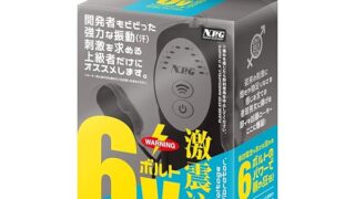NPG 激震注意 6ボルト シングルローター