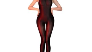 ランジェリー – [RPFLQ] 超光沢 オープンクロッチ ボディタイツ 穴あき セクシー 過激 透け ハイネック シースルー コス…