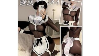 [RPFLQ] メイド服 セクシー コスプレ 全身 タイツ付き シースルー マンネリ解消 ブラック エプロン フリ…