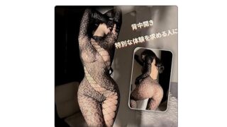 ランジェリー – [RPFLQ] ボディストッキング 胸空き 背中あき エッチ 猫 斑点 ヒョウ柄 デビル 穴あき コスプレ セクシ…