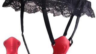 【密着レースパンツ・SEX誘惑】バイブ 女性用 潮吹き ローター 中イキ- 【クリ責めX男女兼用X9段階振動X遠隔…