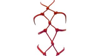 ボンテージ ハーネス 緊縛 拘束具 コスプレ セクシー ロープ 調教 SM 下着 過激 衣装 アイマスク セット …