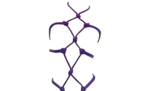 ボンテージ ハーネス 緊縛 拘束具 コスプレ セクシー ロープ 調教 SM 下着 過激 衣装 アイマスク セット …