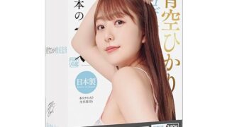 ホール – SSI JAPAN(国内ブランド) 『日本の名器 青空ひかり』340g ローション付き 本人監修