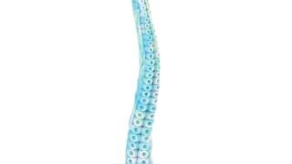 ディルド – TaRiss’s クトゥルフ4代目 アナルプラグ 吸盤付き L 6.8cmx59.5cm