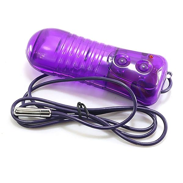ミニローター ペニスプジー クリペニス責め插入ステンレスバイブ ローター男性用紫色