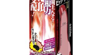 キングボーイ Lサイズ【エーワン】 リング付きサック