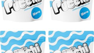 メンズマックス プッチ ウェーブ 4個セット【ローション不要のポケットオナホール】