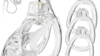 AiFox 貞操具 貞操ロック 貞操帯 男性用 3つの貞操リング付き 寸法調節可能 鍵付き 拘束具 SMプレイ ペ…