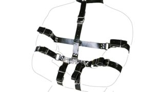 コスプレ – CHYG 首輪 人間 Smグッズ 束縛具 Smボディハーネス ボンテージ 両腕拘束セット 亀甲縛り ボディベル 痛…