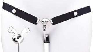 Amazon – Trubliss 貞操帯 男の娘用 排泄可能 装着型貞操装置 ウェアラブル貞操体 貞操ロック ステンレス鋼製 補助…