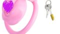 Trubliss 貞操帯 貞操体 男の娘用 ピンク しん唇デザイン 貞操ロック 樹脂製 ４リング切り替え SM 排…