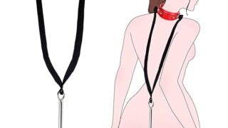 首輪アナルフック SM 拘束具 女性 従順BDSM ディルド 男性 前立腺 SMグッズ 2点セット リード付き オ…