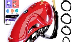 SM – 貞操具 振動貞操ロック 【10種類の強力振動モード+リモコン付き +アプリ遠隔操作 】5つの貞操リング付き サイズ…