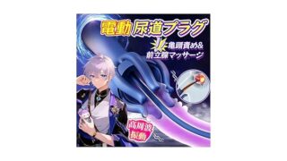 尿道 尿道プラグ 尿道バイブ 男性用 「前立腺&亀頭の同時責め 30段階振動周波数 シリコン製 USB充電」 尿道…