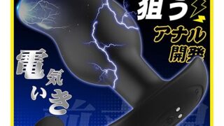 【瞬殺!電気マンゴーで激イキ！】アナルバイブ ディルド 前立腺 男性用 あなるバイブ アナルプラグ アナル 電撃【…