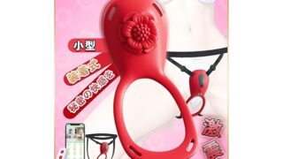 装着型 遠隔操作 バイブ ローター 女性用 中いき クリトリス 潮吹き- 大人のおもちゃ カップル向け 電マ アダ…